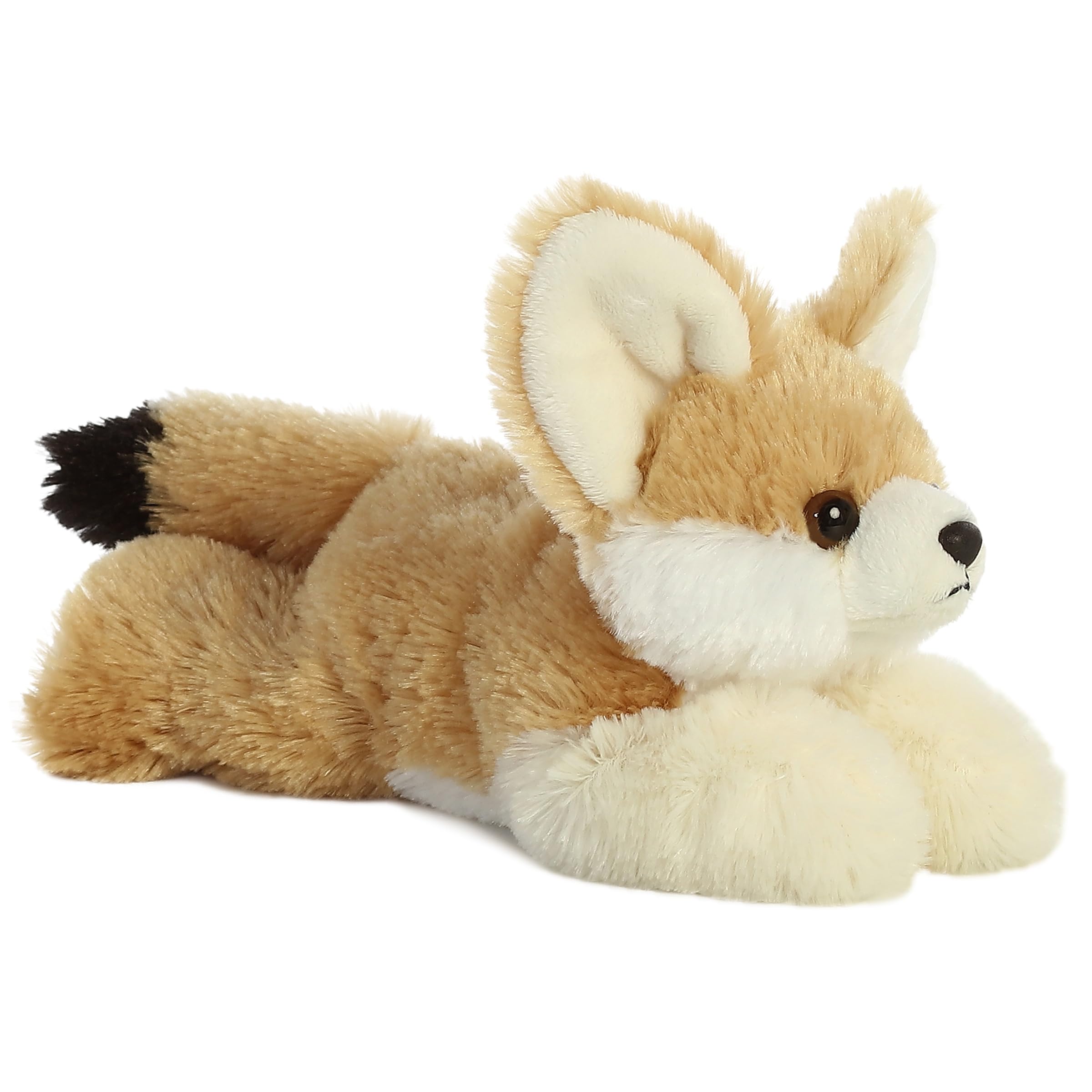 Amazon.com: Aurora® Adorable Mini Flopsie™ Frisky Fennec Fox